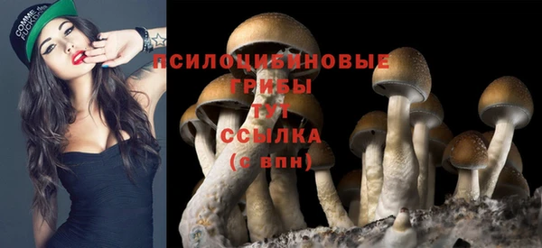 прущие крисы Нязепетровск